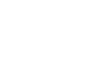 WOWTOWELZ Logo-3. Weiß. Mikrofasertuch, Handtuch für Sport Fitness und 1001 andere Möglichkeiten.