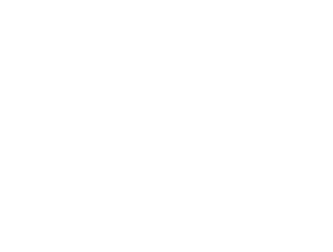WOWTOWELZ Logo-4. Weiß. Mikrofasertuch, Handtuch für Sport Fitness und 1001 andere Möglichkeiten.